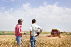 39695124 - peasant and business man talking on wheat field during wheat harvest
